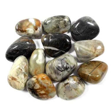 Pachamama Essentials Picasso Jasper Tumbled - Healing Stone - Crystal Healing 20-25mm (5)