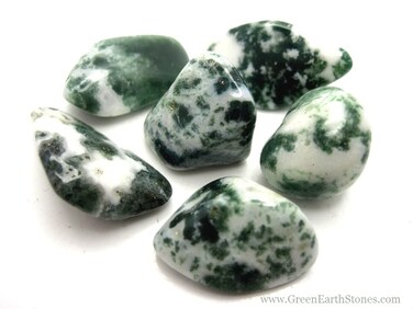 Pachamama Essentials Tree Agate Tumbled - Healing Stone - Crystal Healing 20-25mm (1)