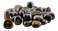 Pachamama Essentials Blue Tiger Eye Tumbled - Healing Stone (1)