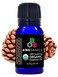Pure Cedarwood Oil USDA Organic Essential Oils, Premium 100% Pure Natural Therapeutic-Grade, Best Aromatherapy Scented-Oils for Diffuser, Home, Office, Personal Use - 10 ML - MSRP $14.99