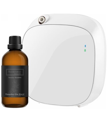 Upgraded Smart Scent Air Machine for Home, Wall Mounted Cold Air Scent Machine, 100ML Waterless Diffuser