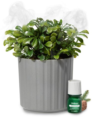Lifelines Plant Diffuser with Modern Planter, Boxwood - Rechargeable Aromatherapy Diffuser, Artificial Faux Plants Home &amp; Office - ClickWick Essential Oil Blend Included