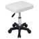 FURWOO Rectangle Rolling Stool with Wheels Height Adjustable Swivel Stool Chair for Spa Salon Massage White