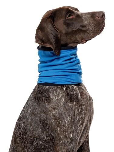 Insect Shield Pet Breathable Cooling Gaiter with Built in Bug and Tick Protection, Lake, Large