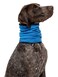 Insect Shield Pet Breathable Cooling Gaiter with Built in Bug and Tick Protection, Lake, Large