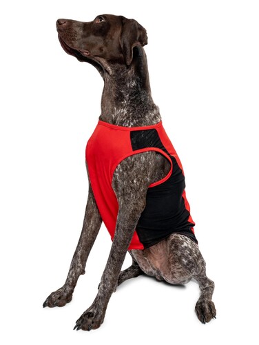 Insect Shield Pet Breathable Sleeveless Mesh Airflow Tank Top with Built in Bug and Tick Protection, Poppy, Large