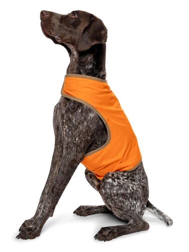 Insect Shield for Pets Hunting Dog Adjustable Vest with Bulit-in Insect Repellent