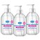 Foaming Hand Sanitizer, Alcohol Free, Fragrance Free, Moisturizing, 10.2 oz Pump Bottles (Pack of 3)