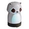Airome Raccoon Medium Kid/Youth/Nursery Glass Essential Oil Diffuser 100 mL Humidifying Ultrasonic Aromatherapy Diffuser 8 Colorful LED Lights, Intermittent &amp; Continual Mist, Auto Shut-Off, Grey