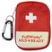 e-Pill MedReady Asthma Inhaler, Peak Flow &amp; Medicine Accessories Travel Case - Does Not Include Inhaler