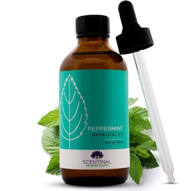 Scentinal Premium Essential Oil - 100% Pure, Natural &amp; Authentic - Extra Large 4oz Bottle (120ml) with Eyedropper - Refreshing Aromatherapy Experience (4 oz / 120ml, Peppermint)