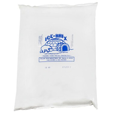 Ice-Brix Leakproof Cold Packs, 10-1/4" x 8" x 1-1/2", Reusable and Food Safe (Case of 6)