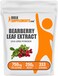BulkSupplements.com Bearberry Leaf Extract Powder - Uva Ursi Extract, Bearberry Supplement, Bearberry Leaf Powder - Vegan &amp; Gluten Free, 750mg per Serving, 250g (8.8 oz) (Pack of 1)