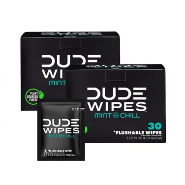 DUDE Wipes - On-The-Go Flushable Wipes - 2 Pack, 60 Wipes - Mint Chill Extra-Large Individually Wrapped Adult Wet Wipes with Eucalyptus &amp; Tea Tree Oil - Septic and Sewer Safe