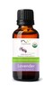 Organic Lavender Essential Oil - 1 Fl Oz - USDA Certified Organic, Non-GMO,Pure &amp; Natural, Therapeutic Grade Oil for Diffuser, Skin, Nail &amp; Hair Care &amp; Home Essentials