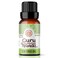 GuruNanda Tea Tree Essential Oil (0.5 Fl Oz) - 100% Pure, Natural and Undiluted Essential Oil for Diffusers - Perfect for Aromatherapy, Massages &amp; DIY Recipes - Helps in Skin and Hair Care