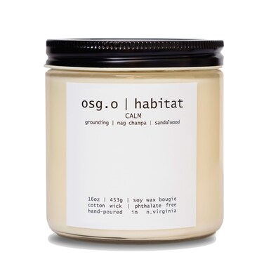 Scented Soy Wax Candle for Home, Cinnamon and Ginger Candle, Essential Oils, Soy Candles Non Toxic, Aromatherapy Candles, 16oz, 60 Hours Burn Time, Hansel and Gretel's House Scent