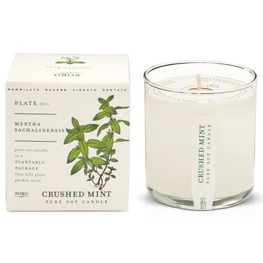 KOBO Crushed Mint Scented Candle with Plantable Box (9 oz)   Plant The Box Collection, 100% Pure Soy Wax Candles   Hand-Poured in USA   Long Lasting 60 Hour Burning Candles   Scented Candles for Home