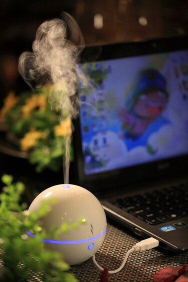 SPT SA-028 USB Globe Ultrasonic Aroma Diffuser/Humidifier