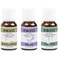 Homedics Essential Oil Set, Clarify and Relax, with Eucalyptus, Tea Tree and our Signature Relax Blend with Lavender. 3-Pack Essential Oil Kit, 15ml Each