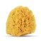 Gentle Exfoliation Yellow Sea Sponge 4in   Natural Shower Sponges for Bathing for Men and Women   Rich Lather