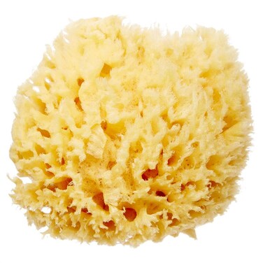 Delicate Skin Wool Sea Sponge 4 in   Real Natural Sponges for Body and Face Gentle Care   Luxurious Lather
