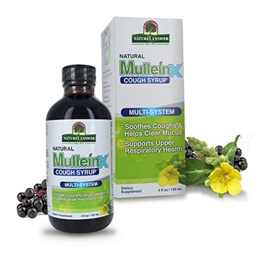 Nature's Answer Mullein-X Multi System Cough Syrup 4 Ounce   Soothes Coughs &amp; Clears Mucus   Respiratory Support   Non GMO Gluten Free