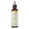 Bach Original Flower Remedies, Olive - Restore Energy - Natural Homeopathic Flower Essence for Emotional Balance - Vegan, Gluten Free, Sugar Free - 20mL Dropper