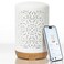 Earnest Living Smart Wifi Essential Oil Diffuser White Ceramic Diffuser 250 ml with Alexa Google Home App Phone Control LED and Auto Off Office Humidifier Aromatherapy Diffusers for Essential Oils