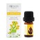 Essences Bulgaria Organic St. John's Wort Essential Oil 1/6 Fl Oz   5ml   Hypericum perforatum   100% Pure and Natural   Undiluted   Therapeutic Grade   Family Owned Farm   Steam-Distilled   Non-GMO