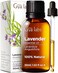 Gya Labs Lavender Essential Oil for Diffuser - 100% Pure Natural Lavender Oil for Skin, Hair, Massage, Candle Making &amp; Aromatherapy (1.02 Fl Oz)