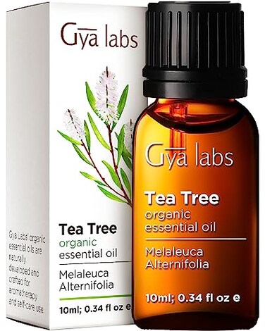 Gya Labs Organic Tea Tree Essential Oil for Hair - 100% Pure Natural Australian Organic Tea Tree Oil for Skin, Face, Toenails, Scalp &amp; Piercings, Refreshing Aromatherapy (0.34 Fl Oz)