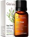 Gya Labs Organic Tea Tree Essential Oil for Hair - 100% Pure Natural Australian Organic Tea Tree Oil for Skin, Face, Toenails, Scalp &amp; Piercings, Refreshing Aromatherapy (0.34 Fl Oz)