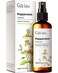Gya Labs Peppermint Hydrosol for Skin, Hair - Peppermint Body Spray, 100% Pure Natural, Refreshing Room Spray, Pillow Mist (3.4 Fl Oz)