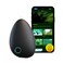 Sensate Relaxation Device - for Immediate Calm and Long Term Stress Resilience - with Patented Infrasonic Resonance Technology - Includes Sensate Plus