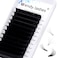Wendy Lashes Easy Fan Lash Extensions D Curl Eyelash Extension Volume Lash Extension Rapid Self Fanning Lashes 0.07 thickness Eyelash Extensions Mega Fans 14-20mm Lashes Extensions(0.07-D,14-20mm)