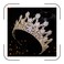 Aoligrace Luxury Tall Cubic Zirconia Tiaras and Crowns for Women CZ Pageant Birthday Headpiece Party Bridal Hair Accessories Gold
