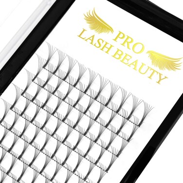 Premade Fans Eyelash Extensions 6D-D-0.10-14 Long Stem Premade Volume Eyelash Extensions .07 .10 Premade Volume Fans C D Curl Pre made Lash Fans Volume Lash Extensions(6D-D-0.10,14 mm)