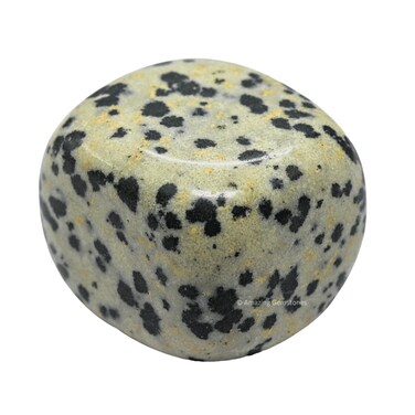 1 oz Dalmatian Jasper Crystal Tumbled Stones Polished Rocks - Natural Gem Stones for Healing - DIY Crystals for Protection