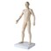 3B Scientific N30 Acupuncture Male Model, 31.5" x 11.4" x 10.2