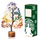 7 Chakra Tree of Life - Crystal Tree for Positive Energy, Attract Good Luck Mothers Day Feng Shui Money Bonsai - Gemstone Tree, Seven Chakra Healing Stones, Home Decoration Gift