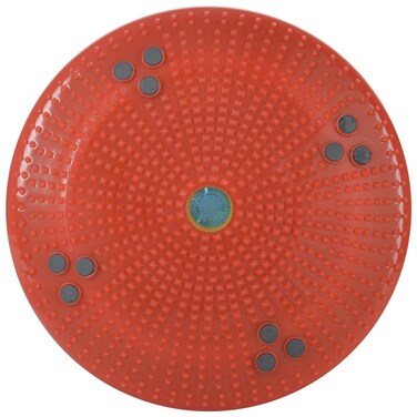 ACS Acupressure Twister Body Weight Reducer - DISC for Acupressure Health Care Systems Hyderabad