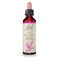 Bach Original Flower Remedies, Oak - Restore Endurance - Natural Homeopathic Flower Essence for Emotional Balance - Vegan, Gluten Free, Sugar Free - 20mL Dropper