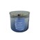 Bath and Body Works, White Barn 3-Wick Candle w/Essential Oils - 14.5 oz - 2021 Fresh Spring Scents! (Laundry Day)