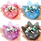 Brand 4 Pack Pill Box - Daily &amp; Weekly Pill Organizer, Travel Size, 1 Time a Day, Small Pill Case, Medicine Pill Container &amp; Holder