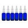 Cobalt Blue Glass 1 oz with Nasal Sprayer - EMPTY, Refillable, Travel Size, Quality Glass! (6 Pack)