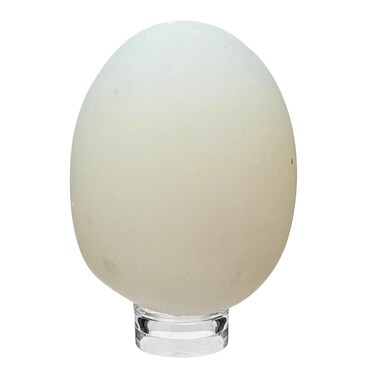 Crystal Joys Polished Gemstone Eggs (Opalite Egg 2")