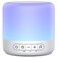 Easysleep White Noise Sound Machine with 30 Soothing Sounds 12 Night Light 32 Volume 3 Timers Portable Sleep Aid Machine for Office Noise Canceling Nursery Travel Lullaby &amp; Rain Sound for Baby, Adults