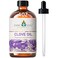 EVOKE OCCU Clove Oil for Teeth and Gums - Oral Care, Toothache Relief &amp; Fresh Breath - DIY Mouthwash - 4 Fl Oz