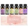 Floral Essential Oils Set   Top 6 Aromatherapy Oils Gift Set - Home Fragrance for Diffusers, Home Care, Candle Making Scents, 6 Pack * 10ml (Lilac, Lavender, Chamomile, Jasmine, Rose, Gardenia)